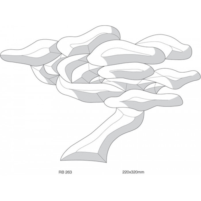 Bonsai Tree 160x210mm (16)