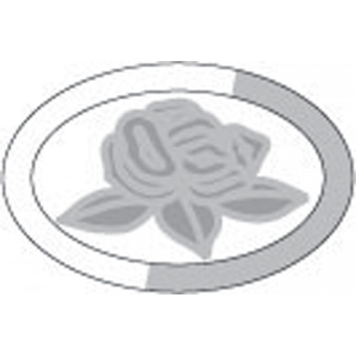 Etched Rose152x102mm (1)